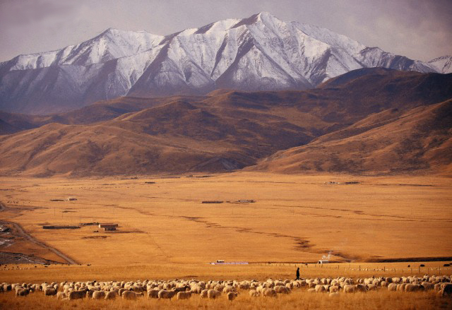 24 Oct 2010, China --- (101024) -- QILIAN, Oct. 24, 2010 (Xinhua) -- Photo taken on Oct. 21, 2010 shows a landscape in Qilian Mountains in northwest China's Qinghai Province. Extending more than 1,000 kilometers, Qilian Mountains cover the mountain range on the border of Qinghai and Gansu Provinces in northwest China. The mountains rise more than 4,000 meters above sea level, and their snow drifts and glaciers are major water resources. (Xinhua/Li Xiaoguo) (zn) | Location: QILIAN, China.  --- Image by ?Li Xiaoguo/Xinhua Press/Corbis