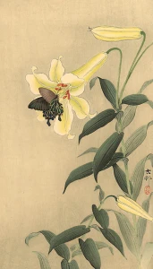 butterfly-and-lily - Ohara Koson