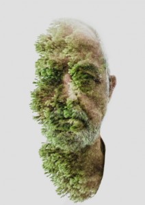 Nature Boy, Alessio Albi