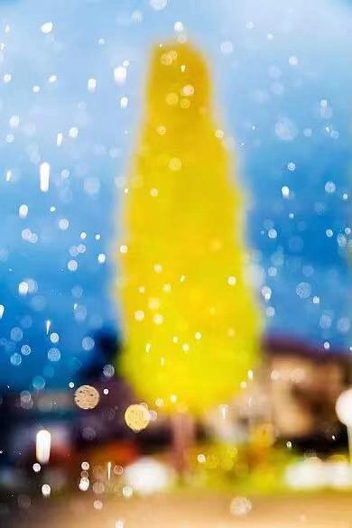 题图 / 水谷吉法