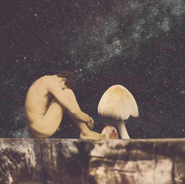 题图 / Pame Pinto Rojas