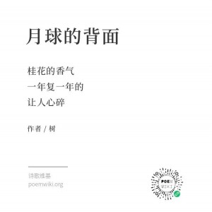 92494fbe9f21112e0a5fa519d50f78e7