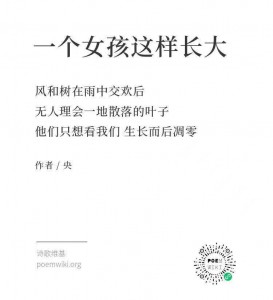 WechatIMG459