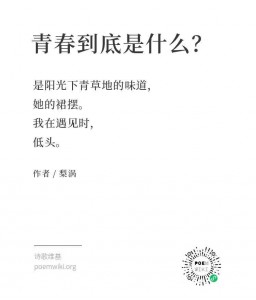 WechatIMG728