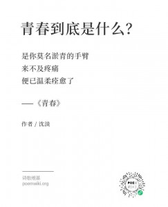 WechatIMG730