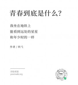 WechatIMG733
