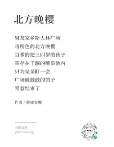 WechatIMG735