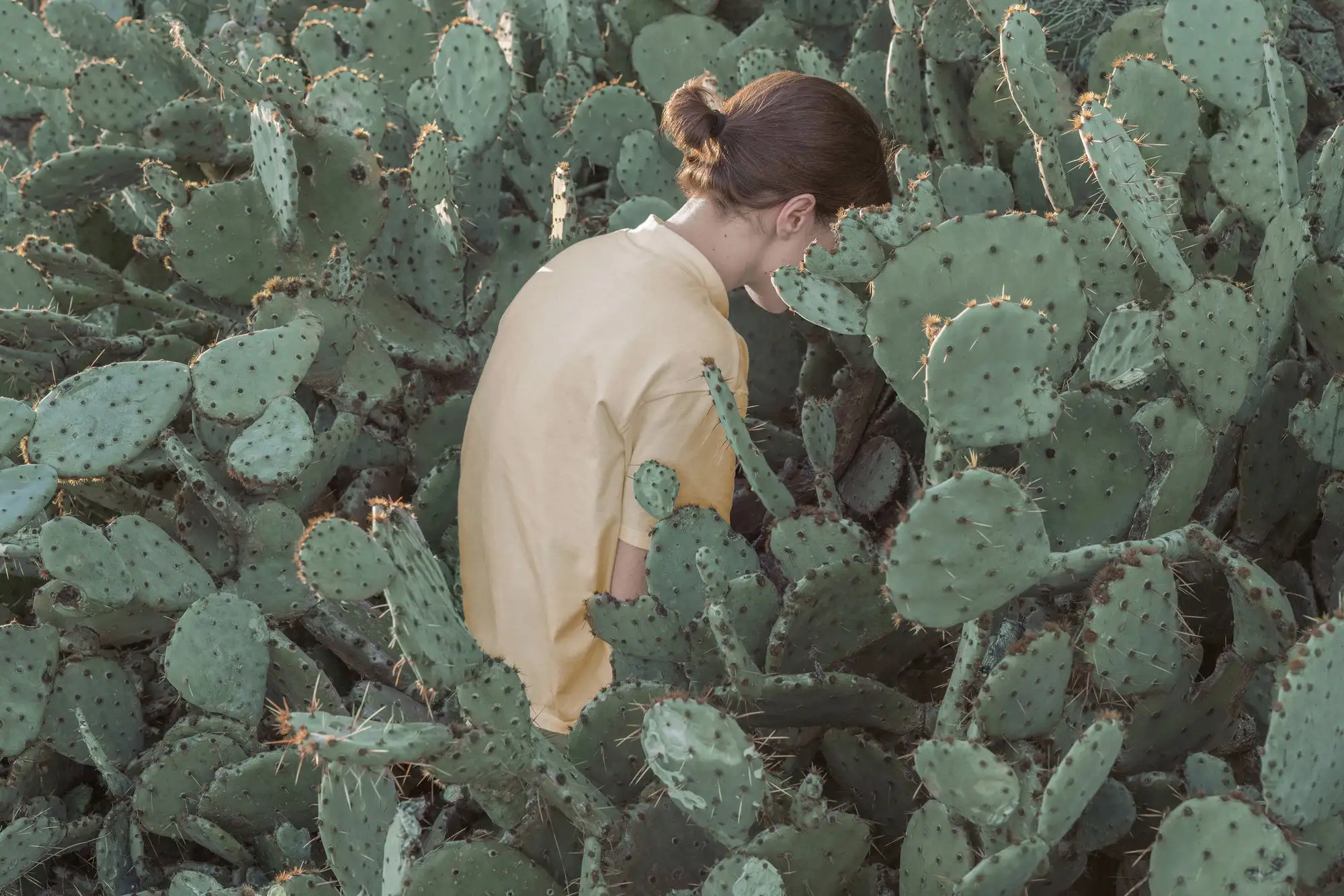 Brooke DiDonato