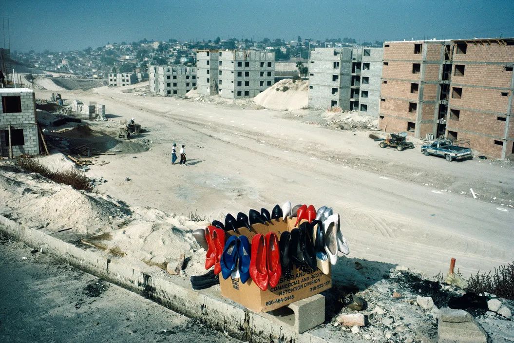 Alex Webb