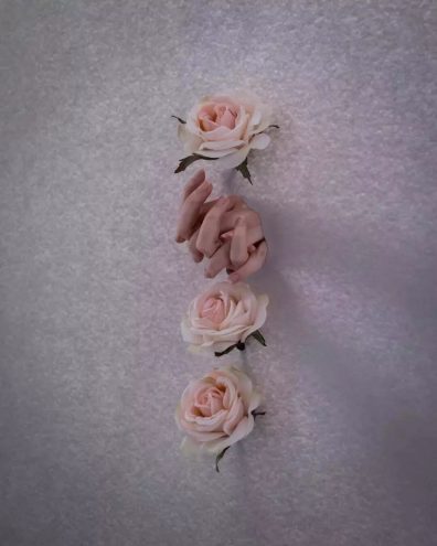 11 20brooke didonato