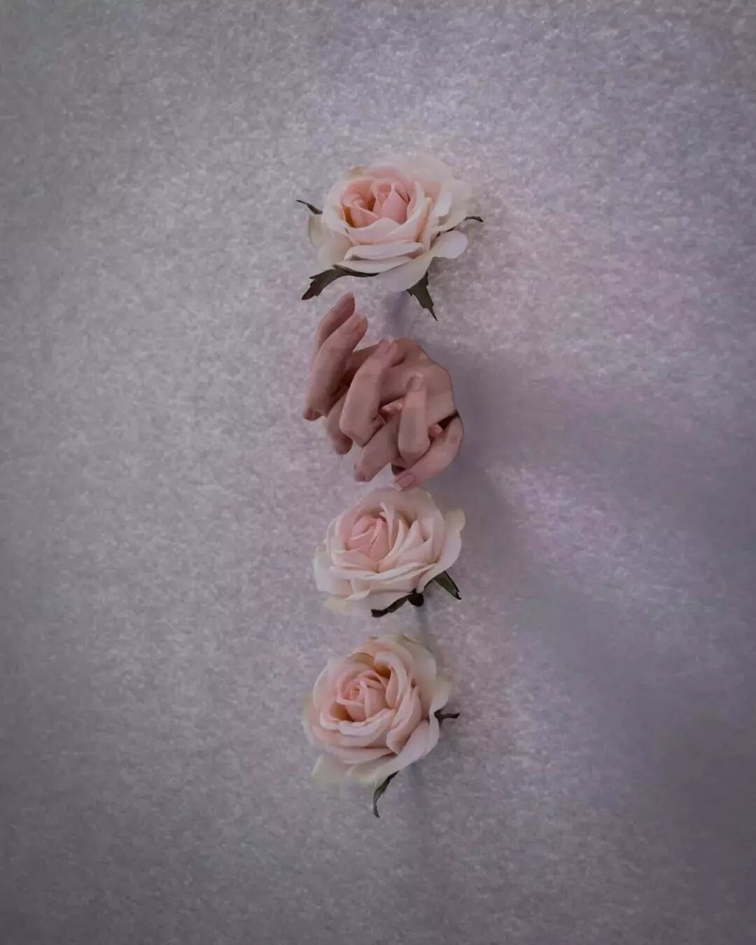 Brooke DiDonato