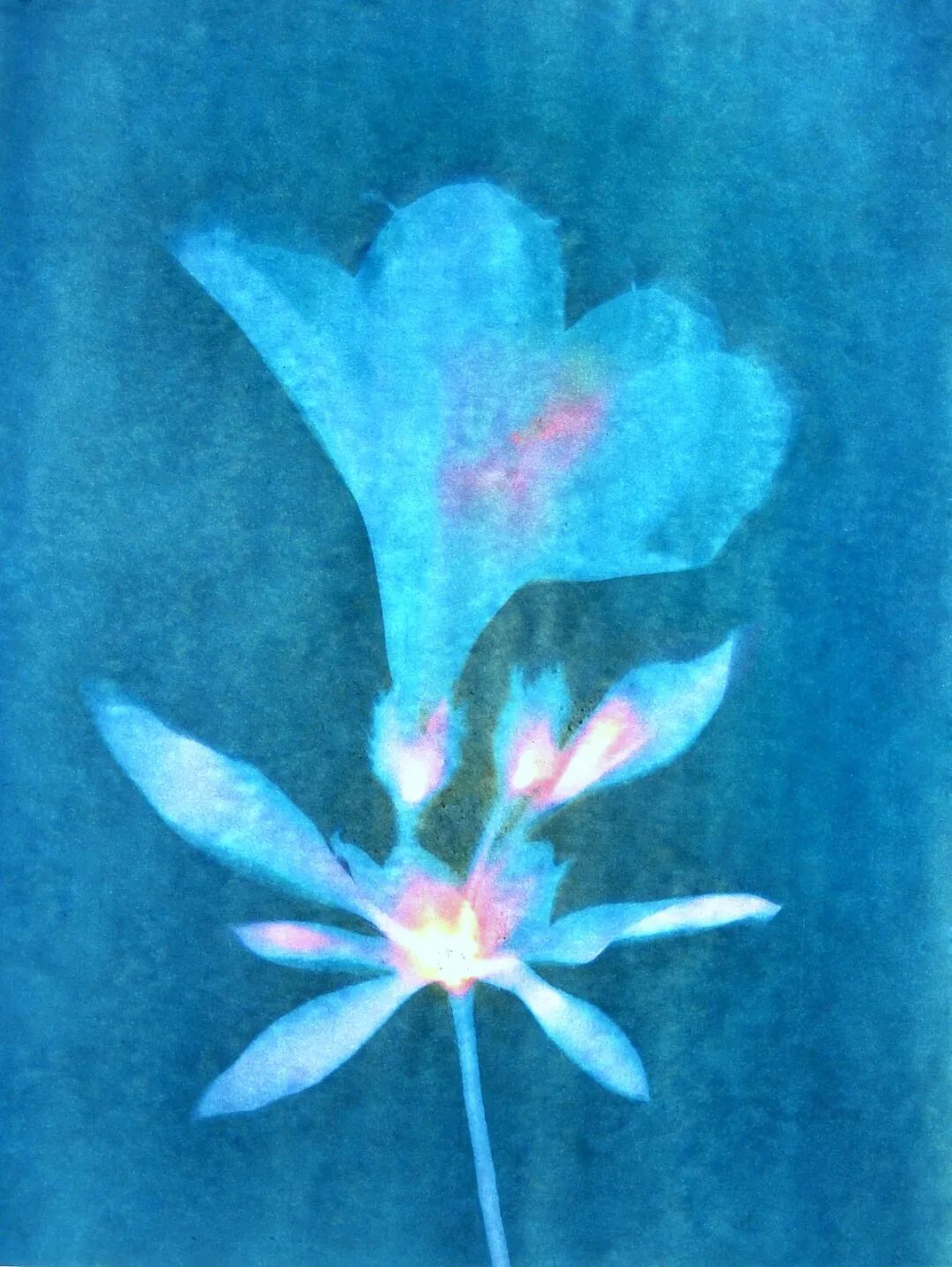 John Fobes