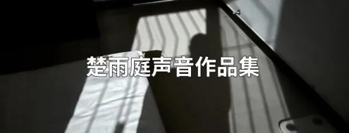 楚雨庭声音作品集