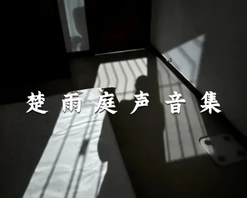 楚雨庭声音集