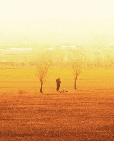 01 20erhan arif telis