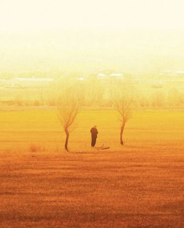 Erhan Arif Telis
