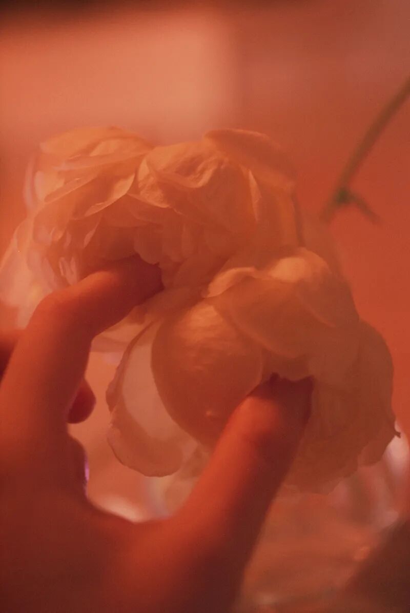 我越是逃离，却越是靠近你 | LI HUI