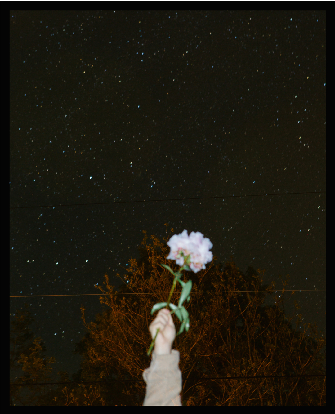 Will Matsuda
