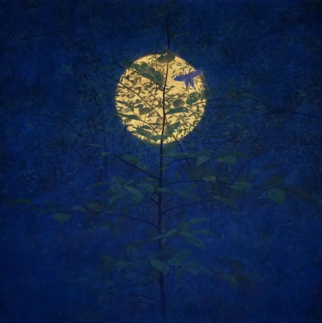 鲟月与萤火，皆照远行人|福王寺一彦