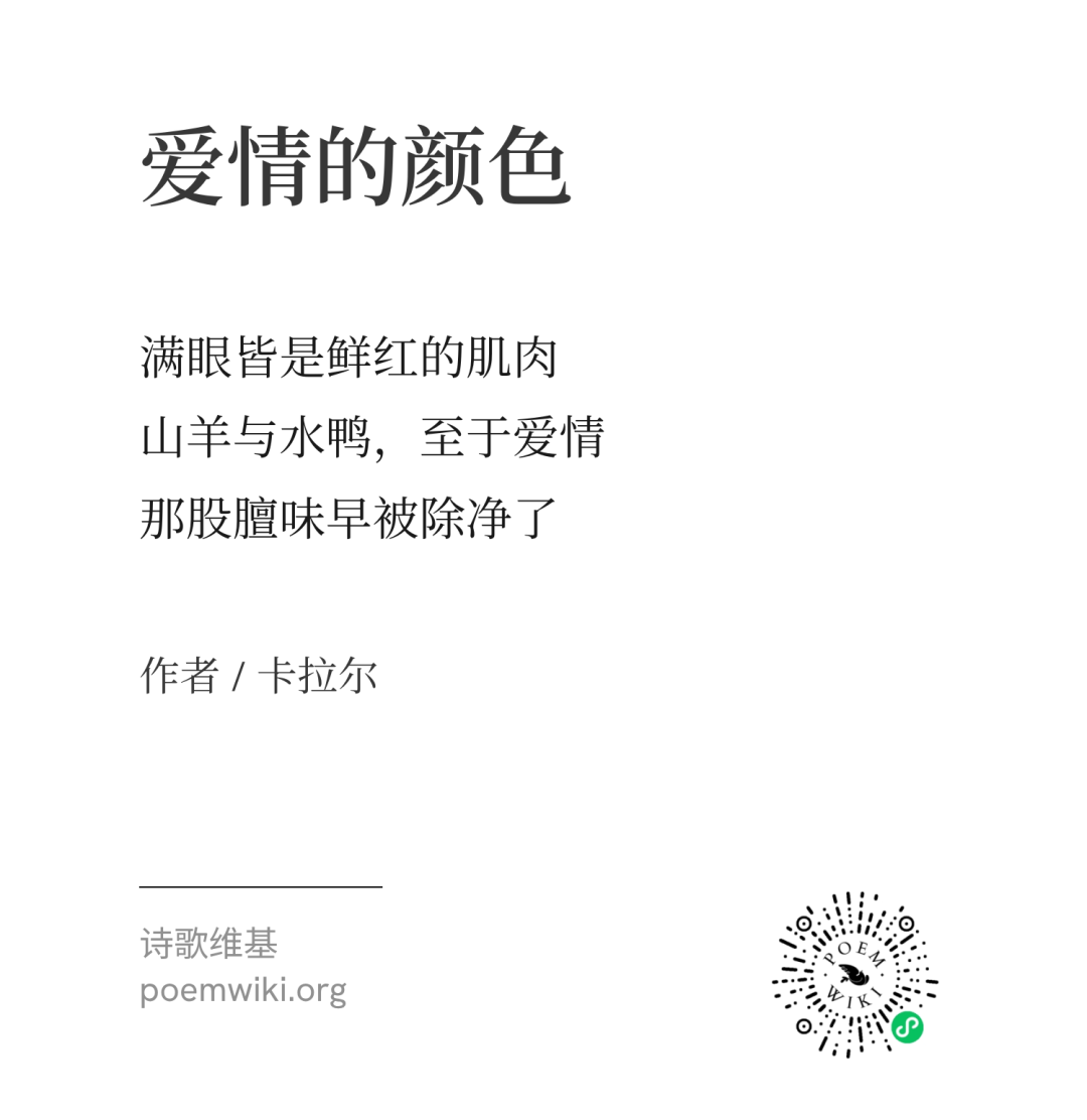爱情的“膻味” 5