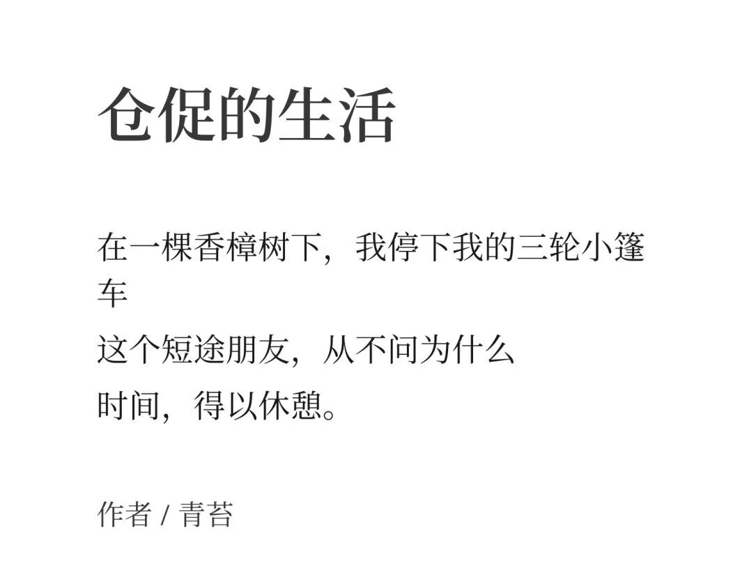 命令生活停下脚步，去拥抱那些道路以目的人 7
