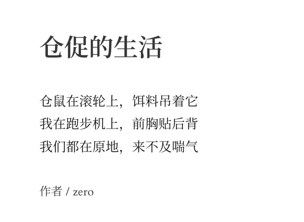 命令生活停下脚步，去拥抱那些道路以目的人 13