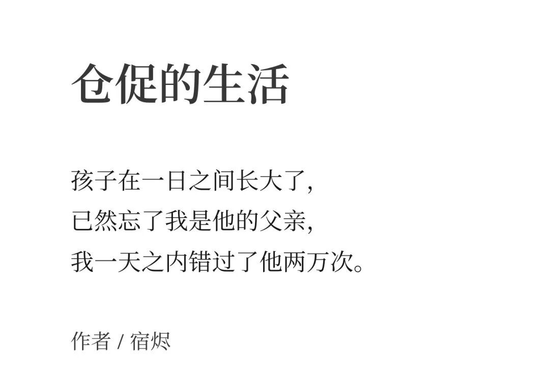 命令生活停下脚步，去拥抱那些道路以目的人 20