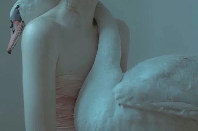 Laura Makabresku